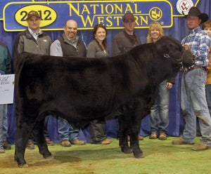 PLA Big Dog 101Y - US Qualified Semen