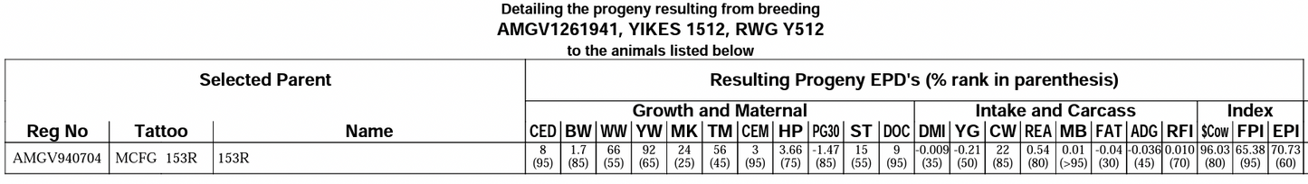 MCFG 153R x RWG Yikes 1512 Embryos