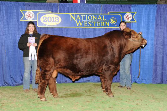 VVGR Elegance 716T x RWG Yikes 1512 Embryos