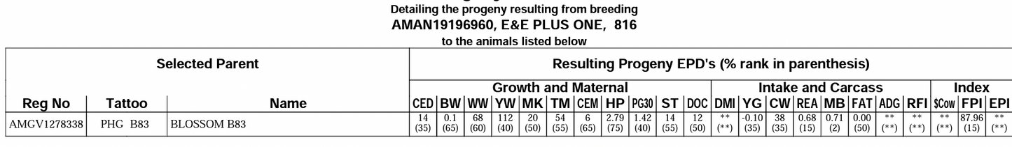 Gelbvieh Embryos - Projected Fetal EPDs