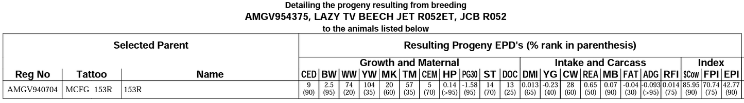 MCFG 153R x Lazy TV Beech Jet R052 ET Embryos