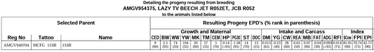 MCFG 153R x Lazy TV Beech Jet R052 ET Embryos